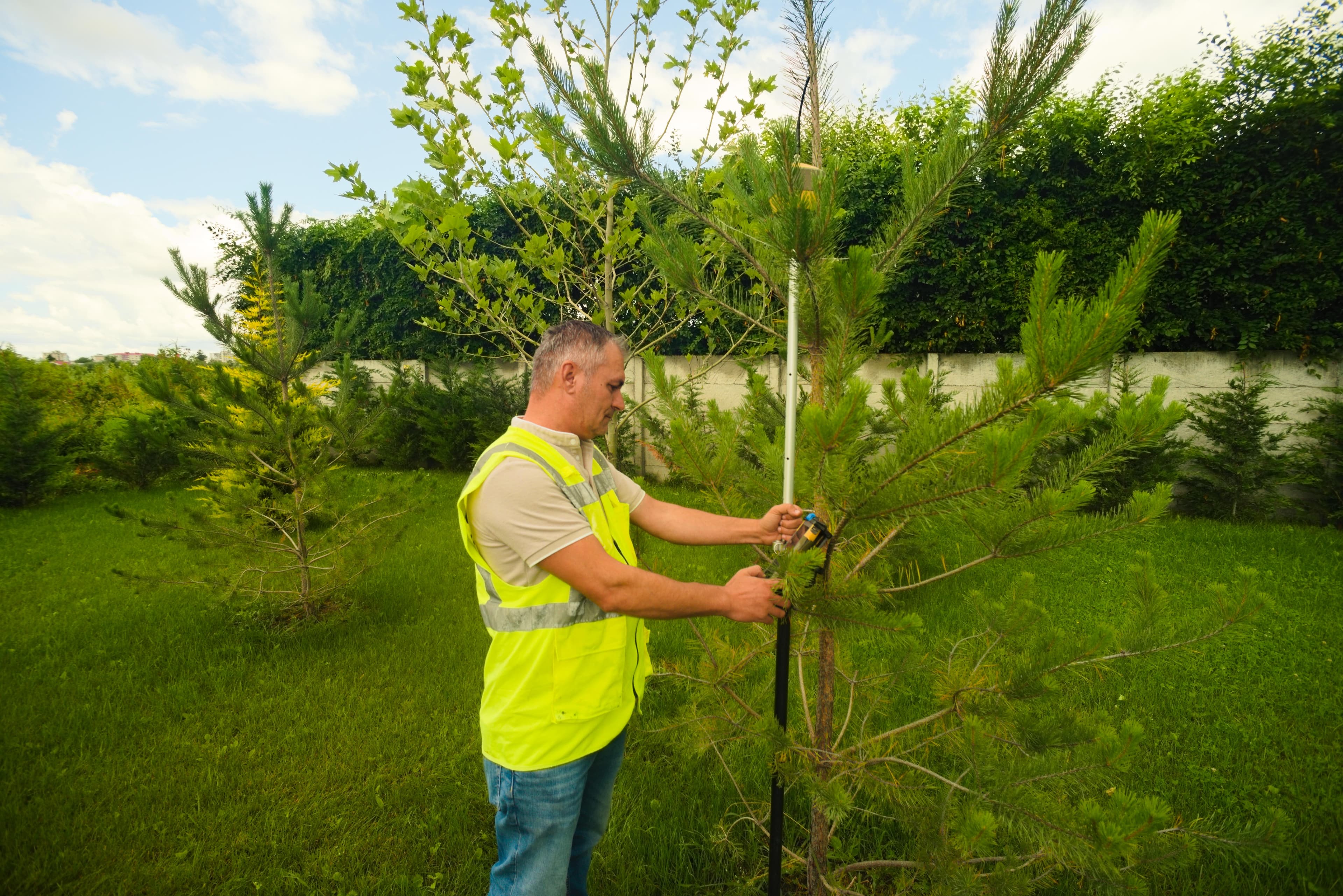 Local Registry of Green Spaces (RSV)